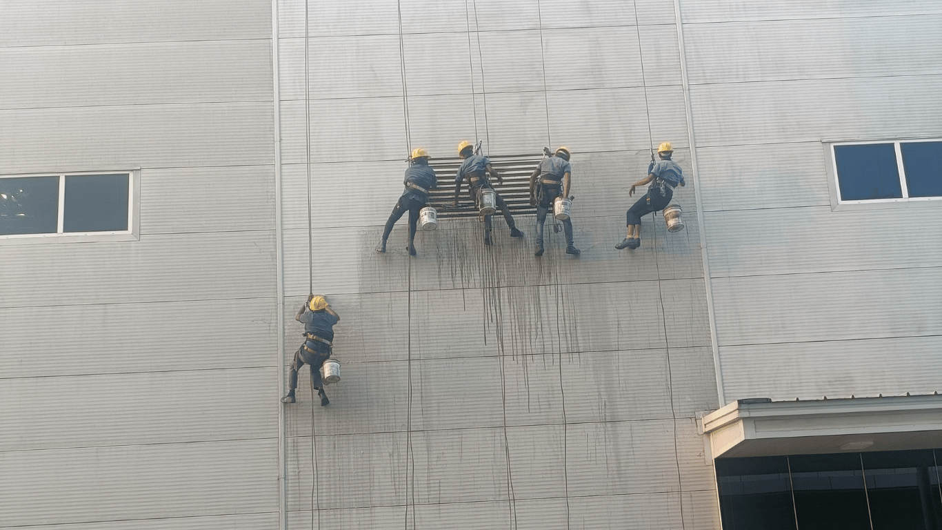 Untitled design (31)